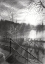 Picture of DE HOFVIJVER - 20-03-20