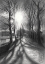 Picture of MARLOT - 04-04-21