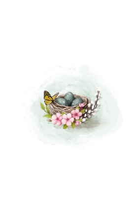 Picture of BIRD NEST AND BLOSSOM