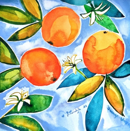 Picture of ORANGES BLOOMING