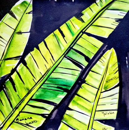 Picture of BANANA LEAVES