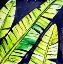 Picture of BANANA LEAVES