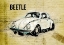 Picture of VOLKSWAGEN VW BEETLE