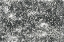 Picture of MYSTIC DOTS