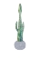 Picture of BOHO SCANDI CACTUS 2