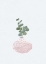 Picture of SCANDI JAPANDI HOUSE PLANT 1