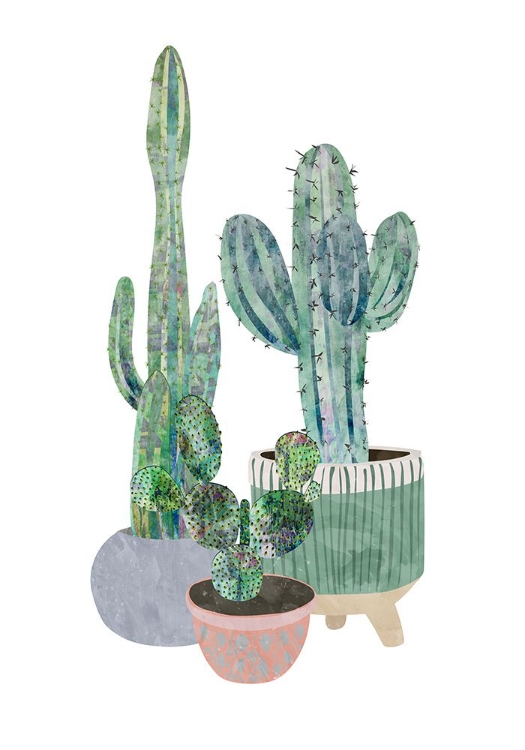 Picture of SCANDI JAPANDI CACTUS TRIO