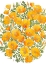 Picture of GOLD ACCENTED CALIFORNIA POPPIES