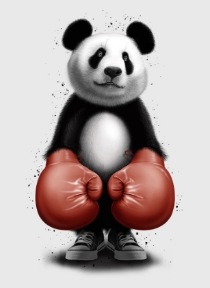 Picture of PANDA BOXER