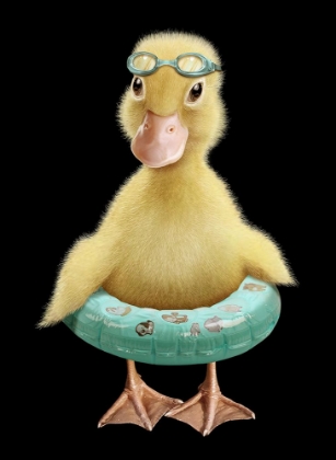 Picture of DUCK