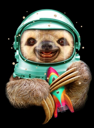 Picture of SPACESLOTH
