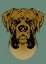 Picture of BOXER