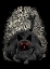 Picture of POSSESSED