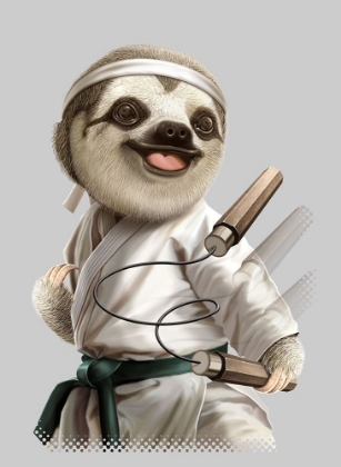 Picture of KARATE SLOTH