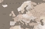 Picture of EARTH TONES DETAILED MAP OF EUROPE