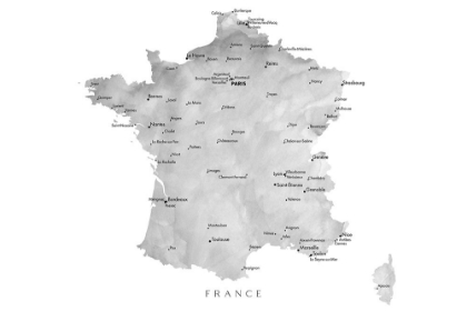 Picture of GRAY MAP OF FRANCE