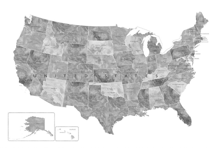Picture of GRAY WATERCOLOR MAP OF THE US