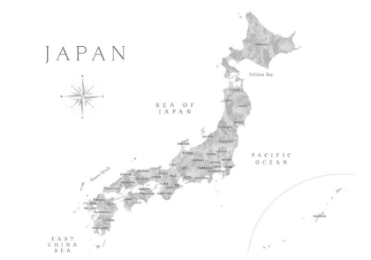 Picture of GRAY WATERCORLOR MAP OF JAPAN