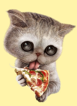 Picture of CAT LOVES PIZZA
