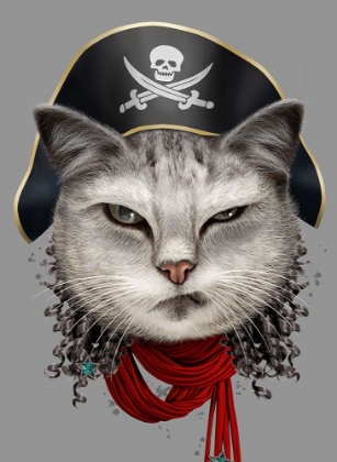 Picture of PIRATE