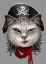 Picture of PIRATE