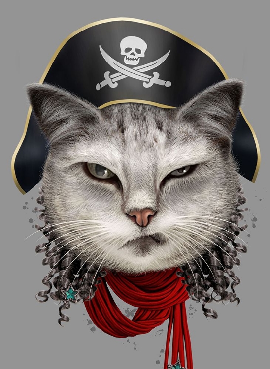 Picture of PIRATE