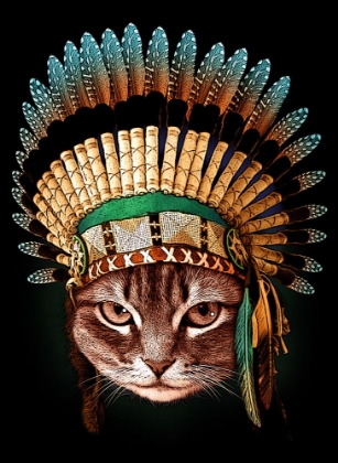 Picture of CHIEF CAT