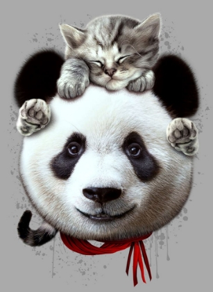 Picture of CAT ON PANDA BEAR