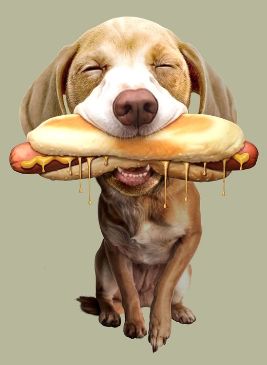 Picture of HOTDOG