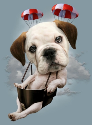 Picture of PUPPY ON PARACHUTE