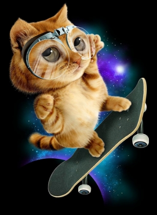 Picture of CAT ON SKATEBOARD
