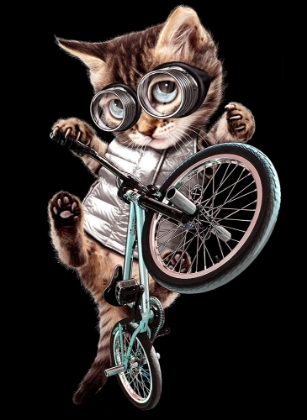 Picture of BMX CAT