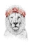 Picture of FESTIVAL LION