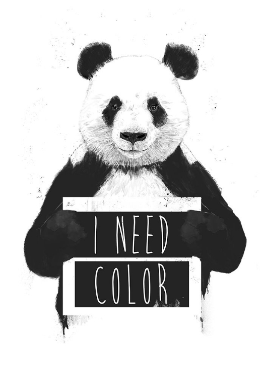 Picture of I NEED COLOR