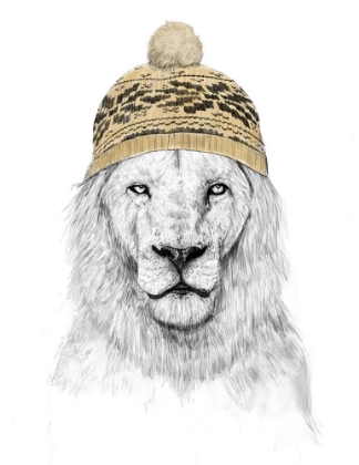 Picture of WINTER LION