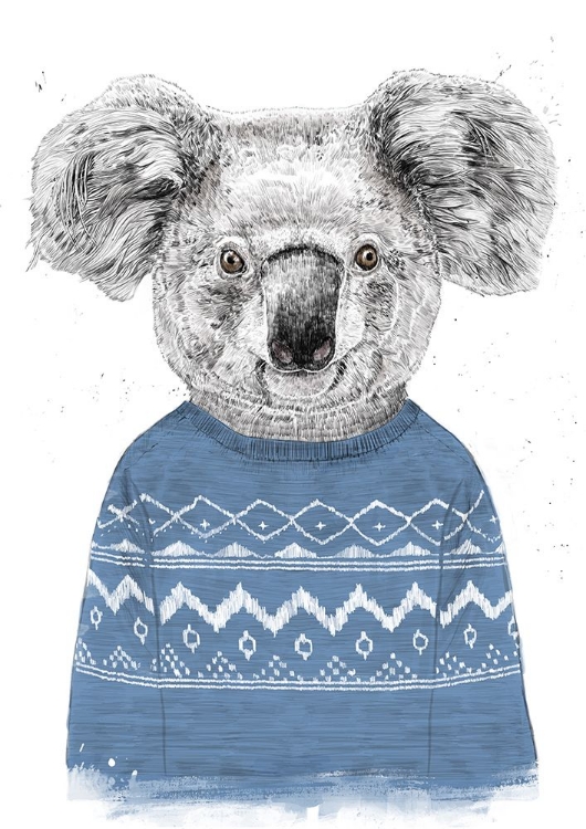 Picture of WINTER KOALA (BLUE)