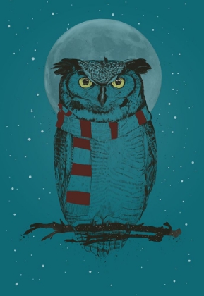 Picture of WINTER OWL