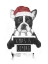 Picture of XMAS IS COMING