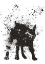 Picture of WET DOG