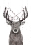 Picture of XMAS DEER