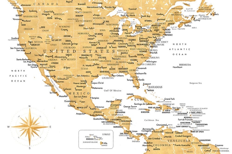 Picture of GOLDEN MAP OF USA AND MEXICO