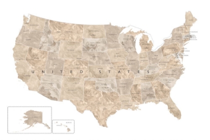 Picture of TAUPE WATERCOLOR US MAP