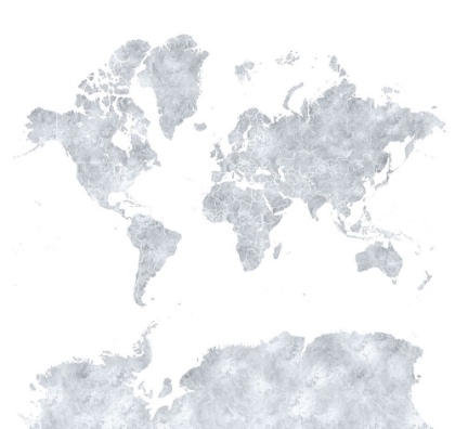 Picture of GRAY WORLD MAP