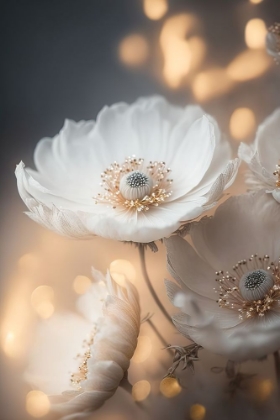 Picture of WHITE AND GOLDEN FLOWERS