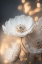 Picture of WHITE AND GOLDEN FLOWERS