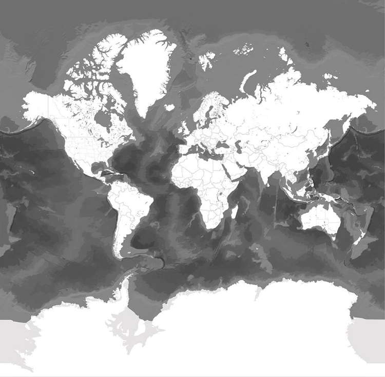 Picture of OLSON WORLD MAP