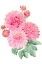 Picture of PACEY PINK WATERCOLOR BOUQUET