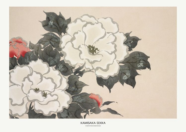 Picture of FLOWERS FROM MOMOYOGUSA