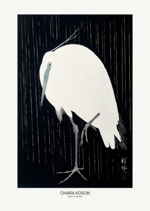Picture of EGRET IN THE RAIN