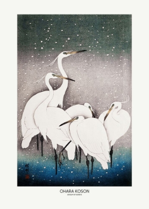 Picture of GROUP OF EGRETS